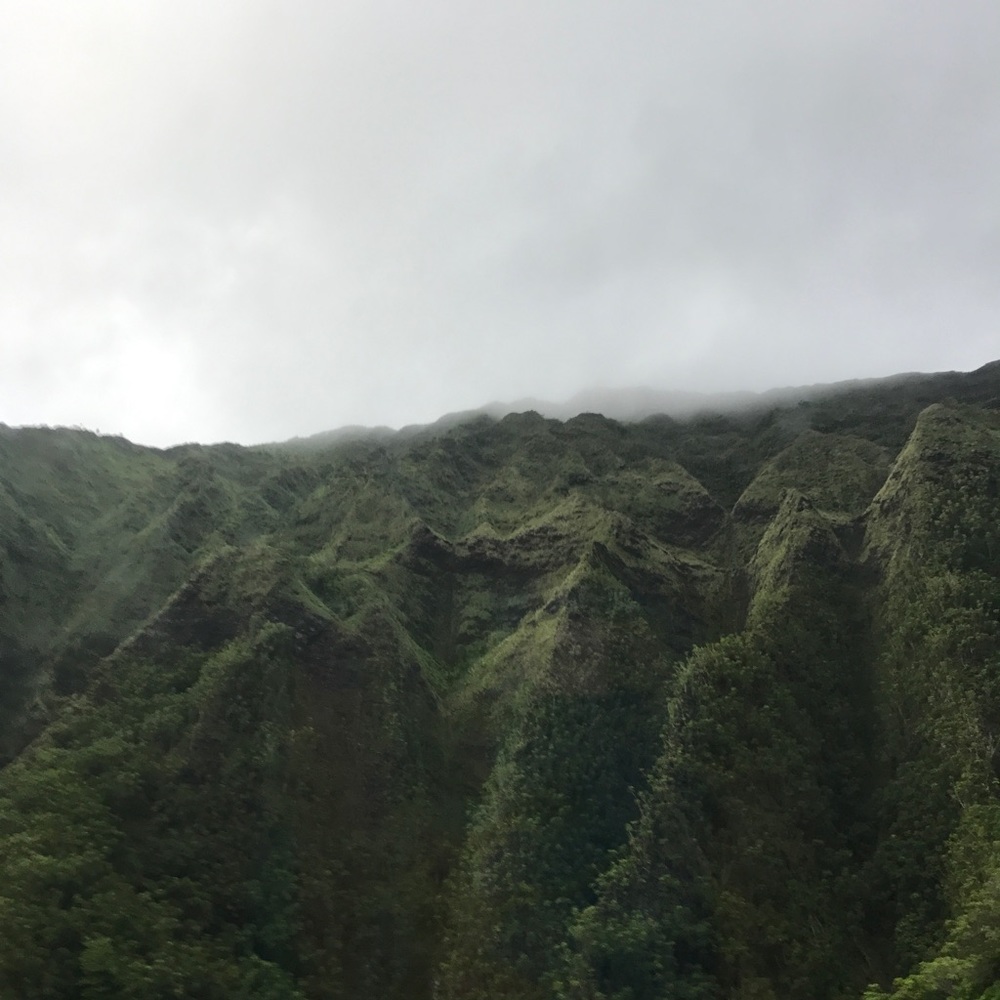 Meet your Posher, Jess